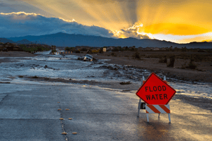 Emergency Management